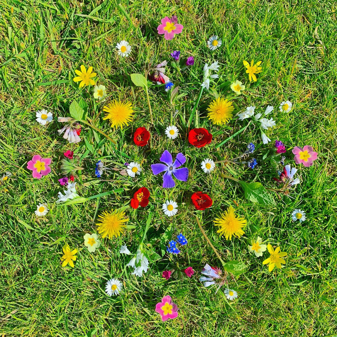 12 Mindful Activities in Nature for Children  - Mental Health Awareness Week 2023 - Hues Clothing