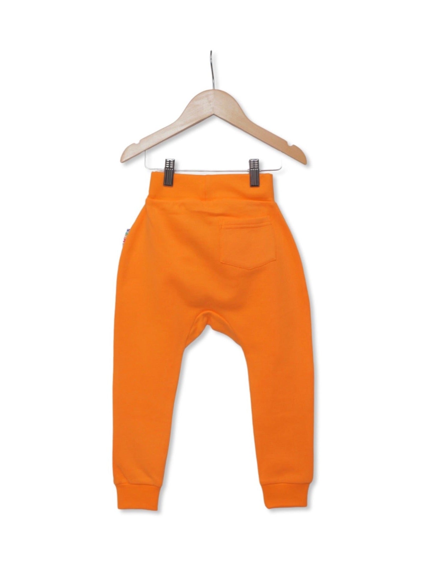 Orange Unisex Kids Joggers Back View- Hues Clothing