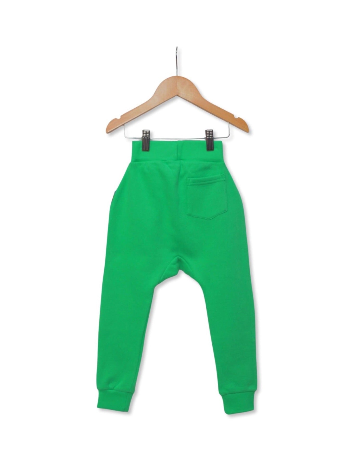 Green Unisex Kids Joggers Back View - Hues Clothing