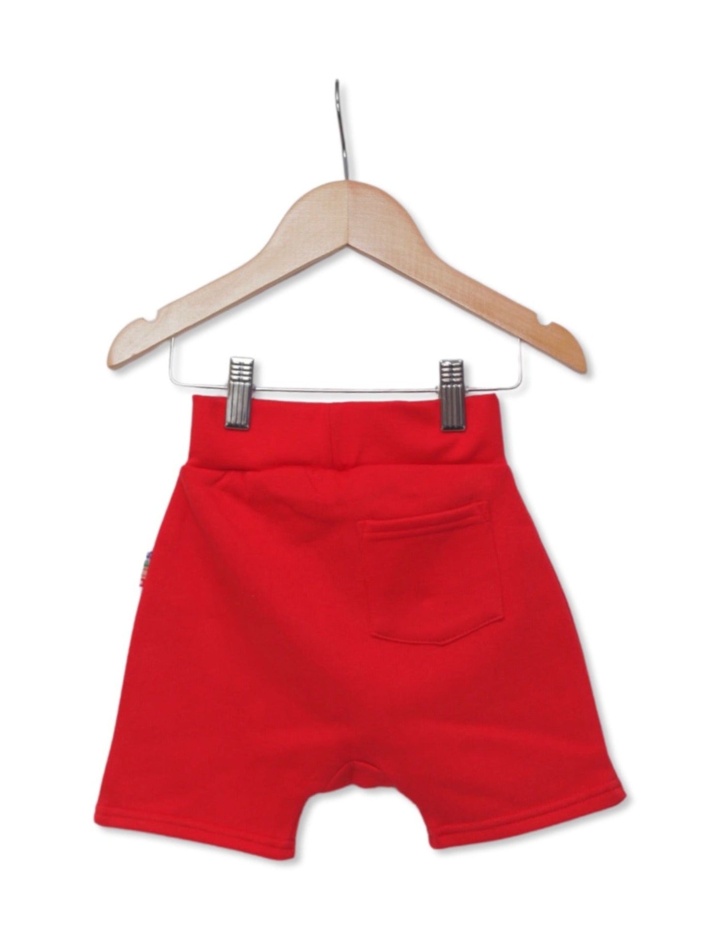 Kids Red Unisex Shorts Back View - Hues Clothing